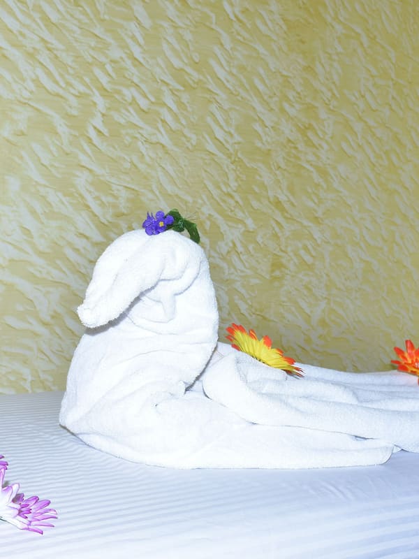 Sauna, hot tub, steam room, body treatments, deep-tissue massages