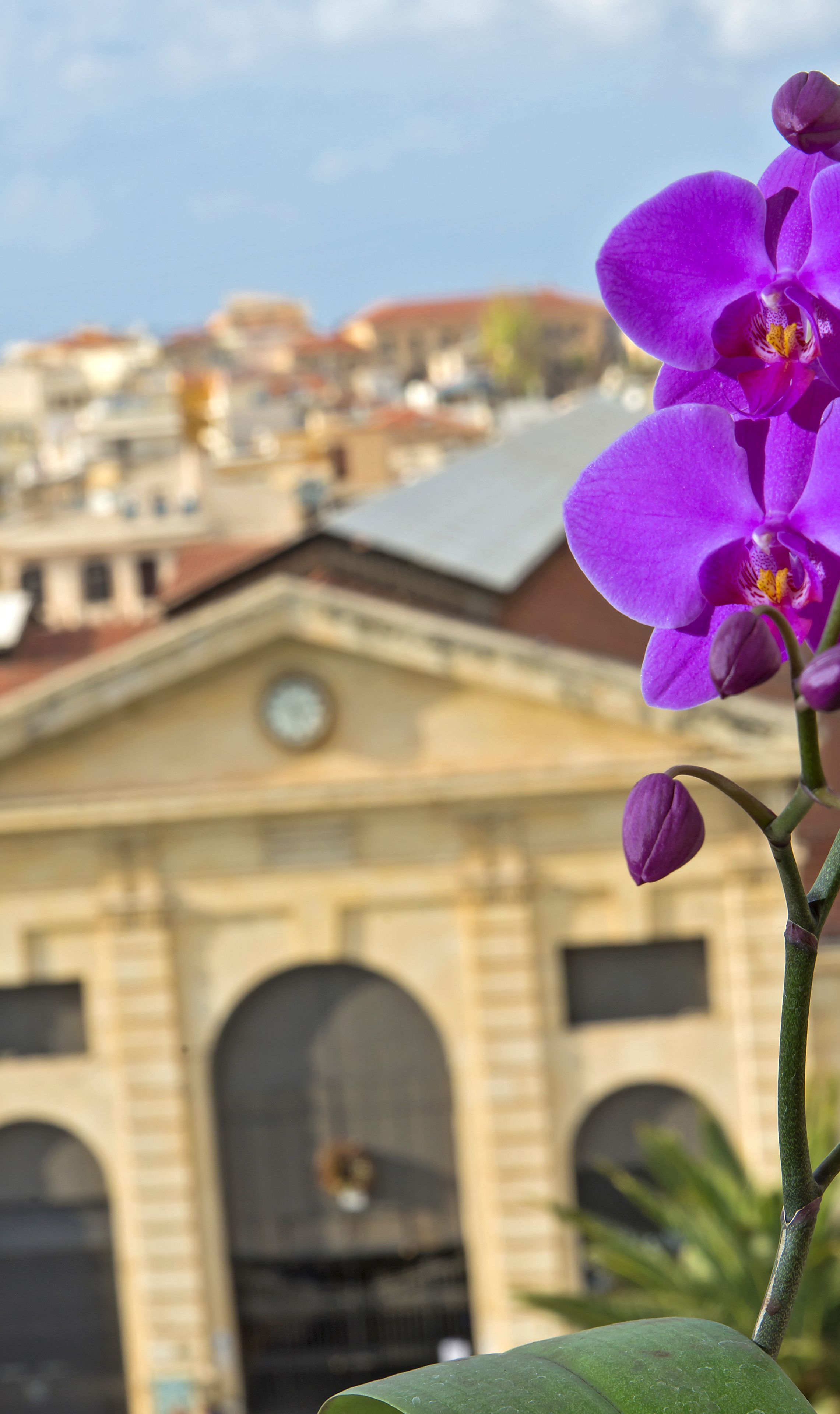 Foto - Kydon The Heart City Hotel