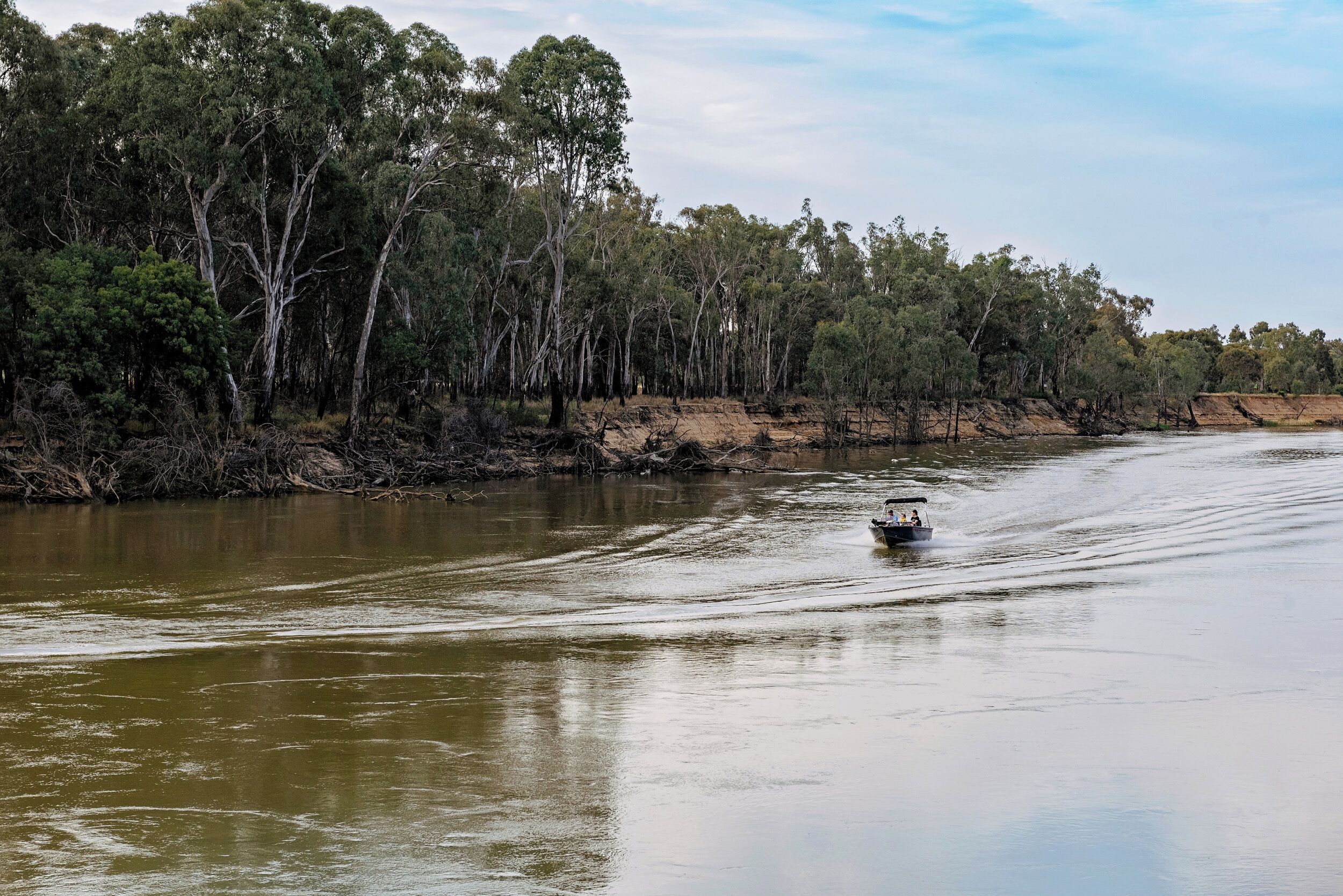 A river with a boat moving along it, surrounded by dense trees.