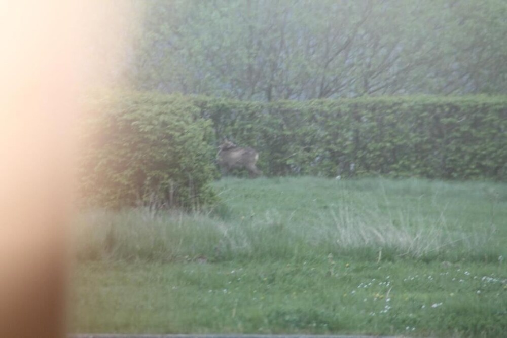 Le Vertige des Saveurs Hotel by null