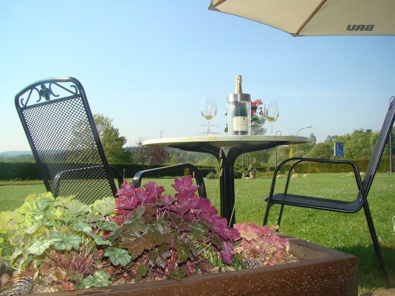 Terras