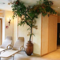 Hammam, hammam, soins ayurvédiques, salles de massage et de soins