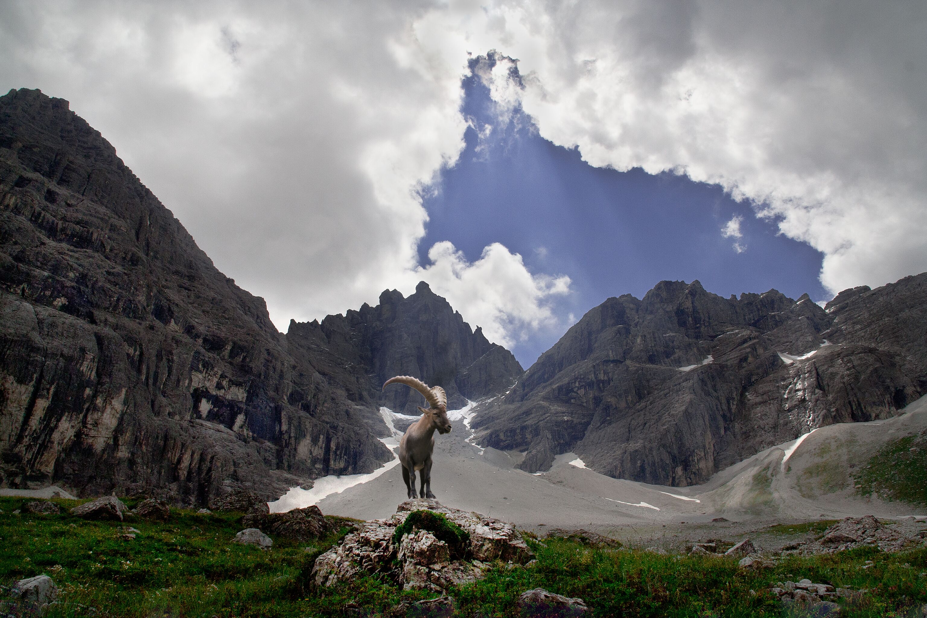 A mountain goat standing on a rocky outcrop with a glacier and steep mountains in the background.
