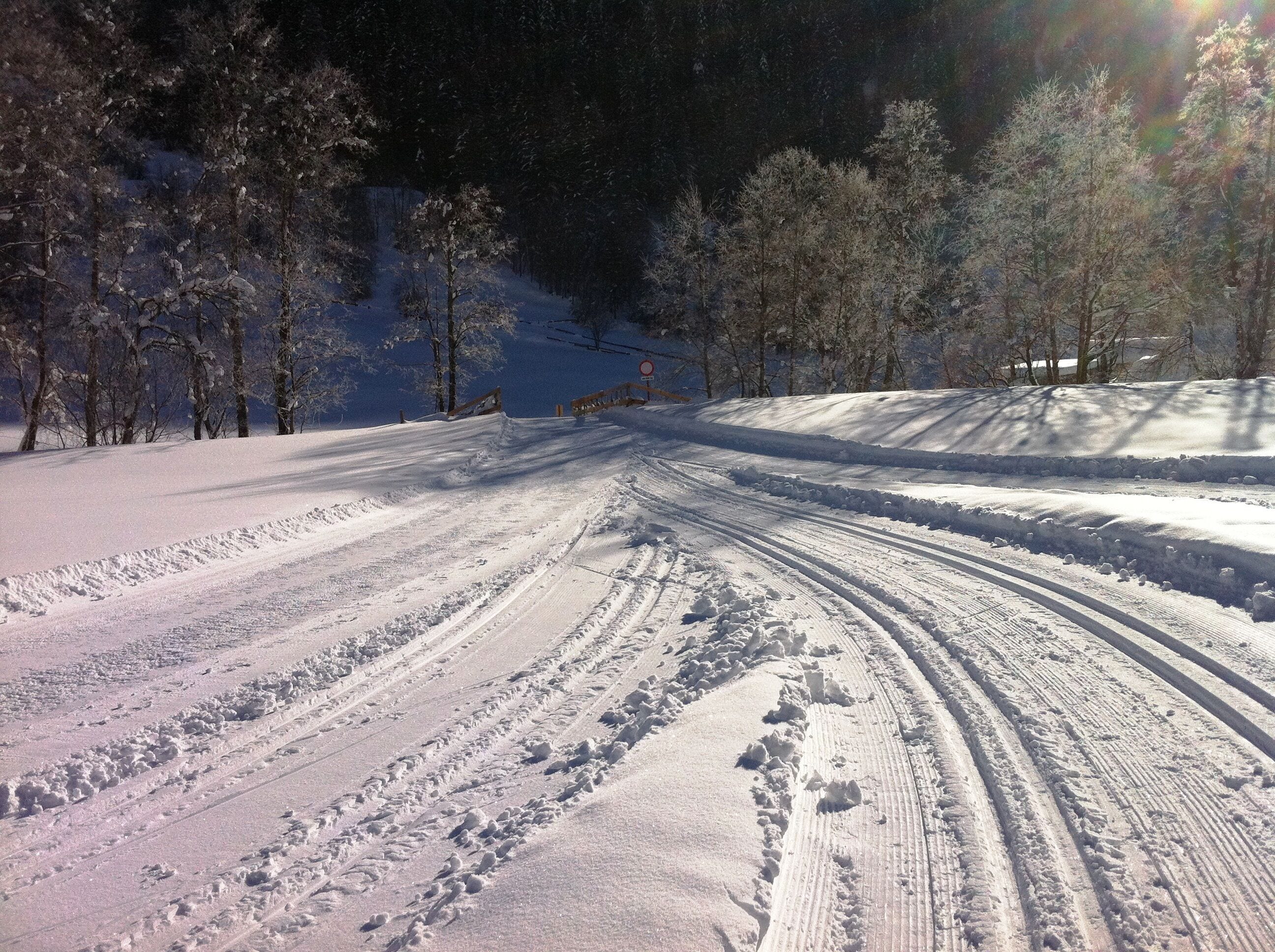 A snowy road with tire tracks leading uphill, surrounded by trees.
