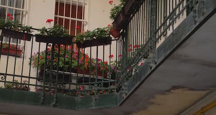 Ace Hostel