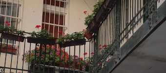 Ace Hostel
