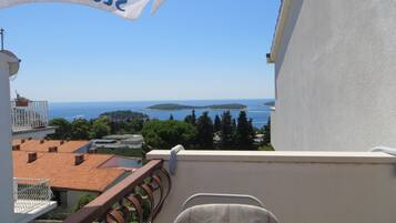Studio Apartment | Balcony