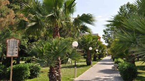 A pathway lined with palm trees and a signpost with directions to various amenities. - Akiris (Nova Siri)