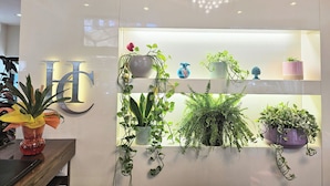 Una pared con una gran letra 'H' iluminada, una repisa con plantas en macetas y una mesa de madera con un florero.