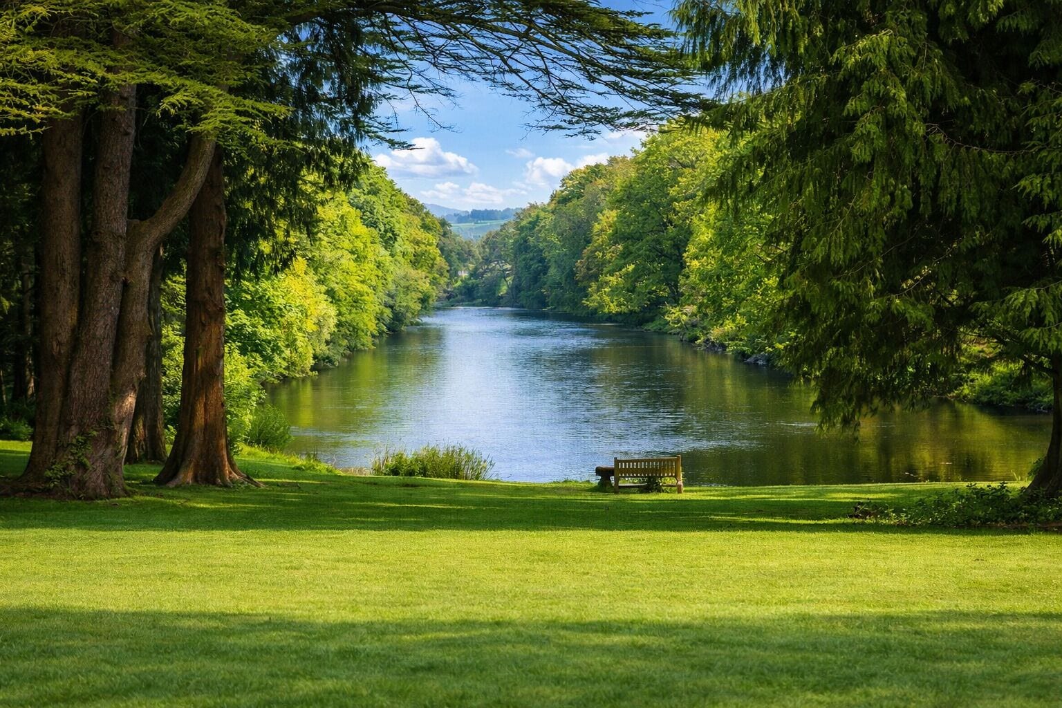 A river flanked by trees with a bench in the foreground.