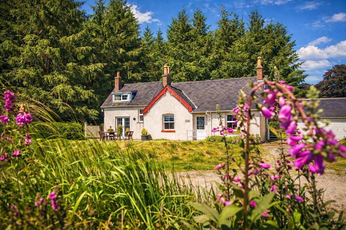 A house with a red roof, brick chimneys, and a garden with pink flowers.