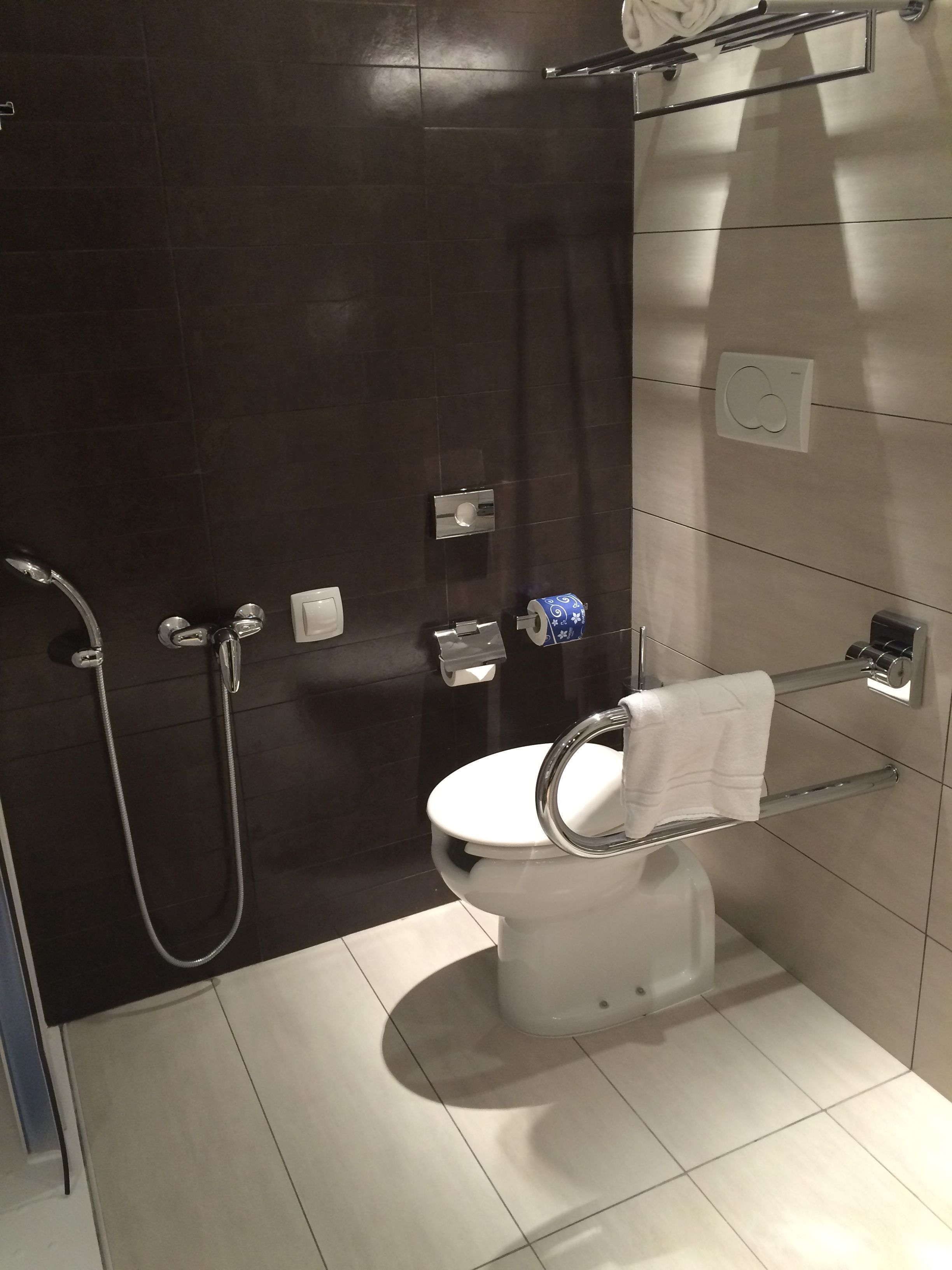A modern bathroom with a toilet, shower, and towel rack.