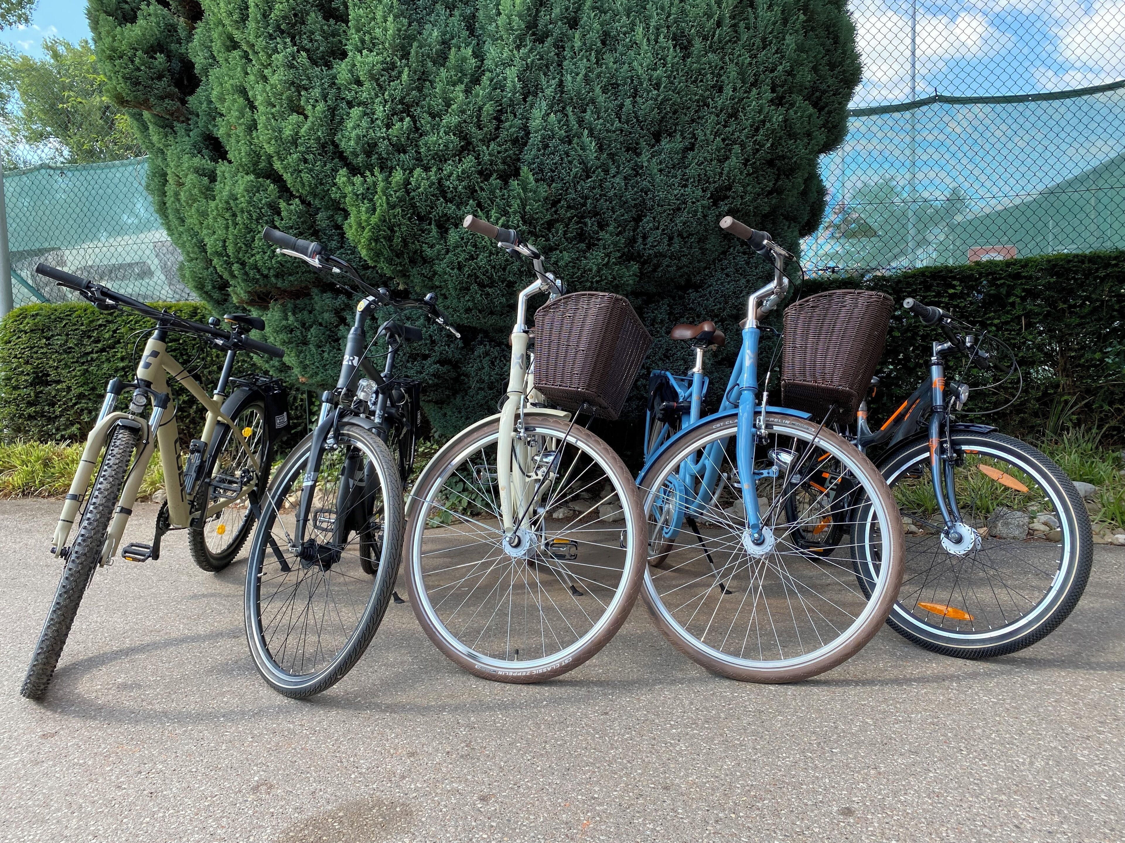 Photo - Scheck Hotel