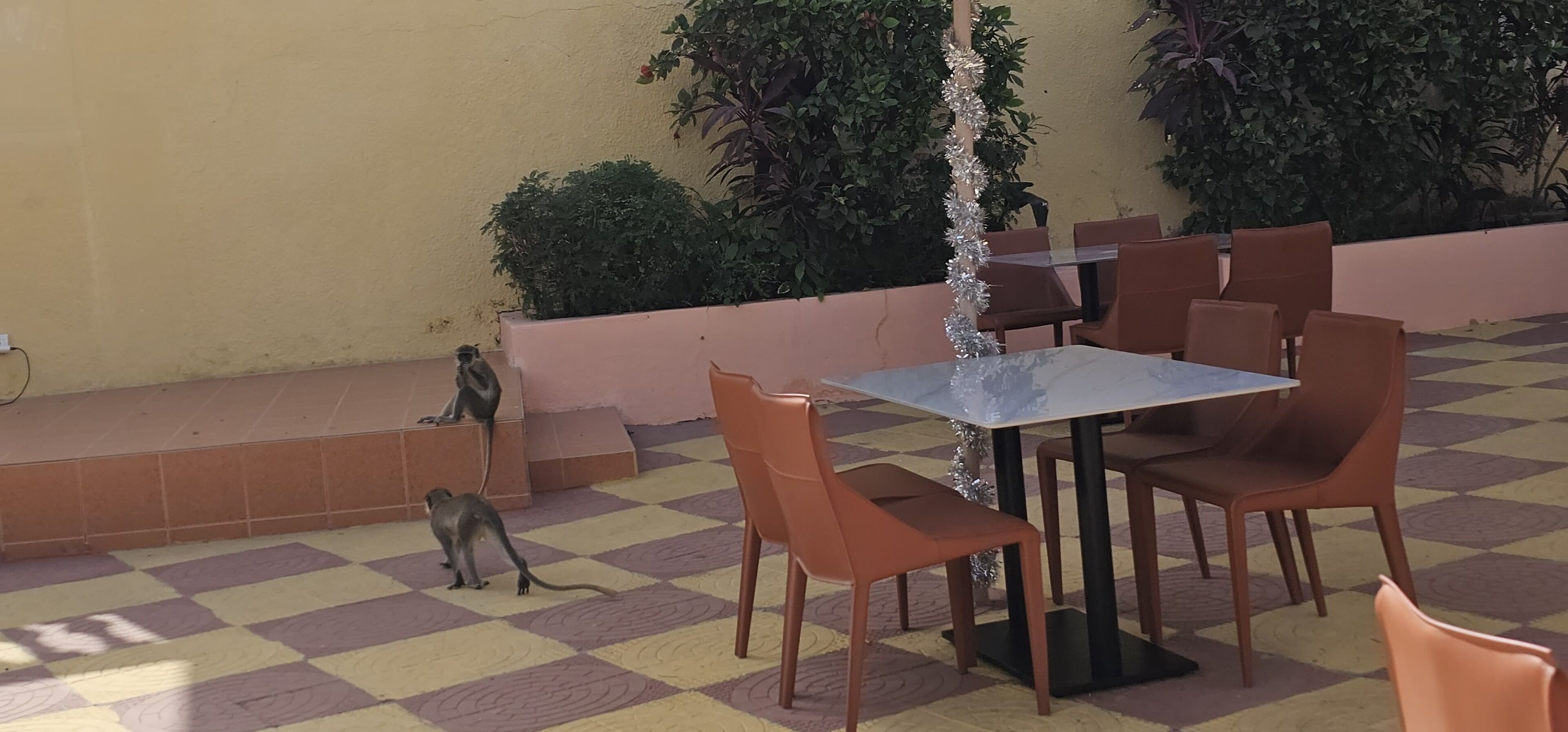 Un espacio al aire libre con suelo a cuadros, mesas y sillas, una pequeña fuente y plantas en macetas.