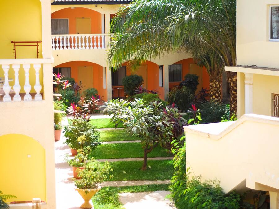 Un patio con un edificio amarillo, una palmera y varias plantas en macetas.