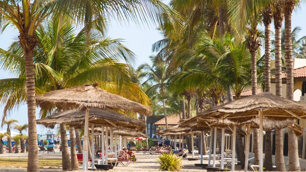 Una playa con sombrillas de paja y palmeras.