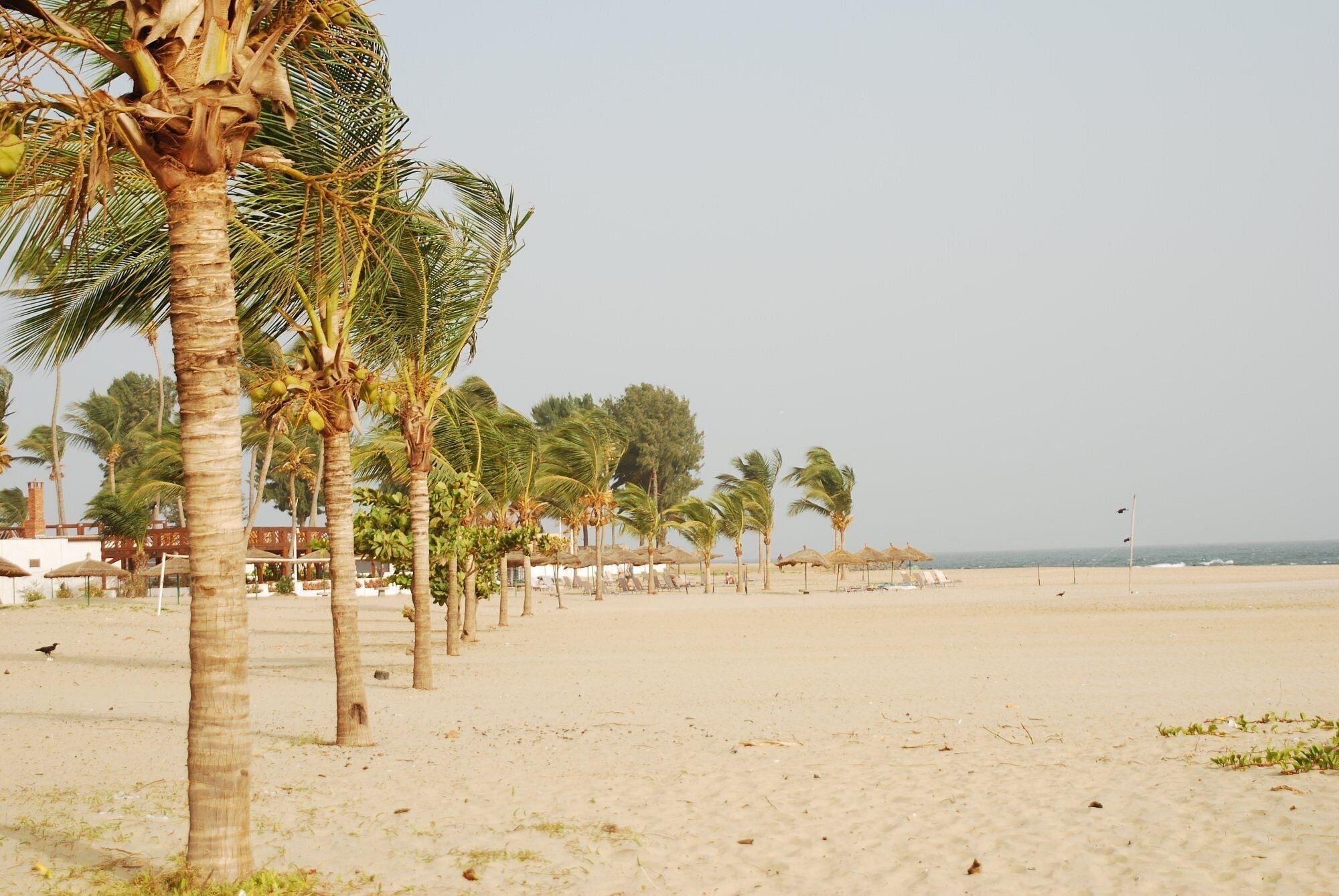 Beach/ocean view