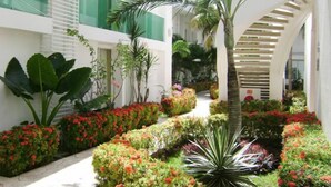 Un cortile con una palma, diverse piante e un vialetto.