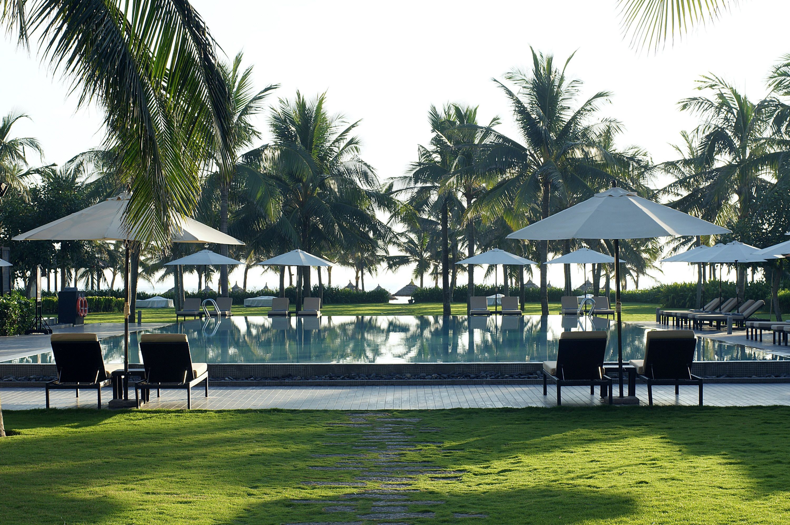 A pool area with lounge chairs and umbrellas, surrounded by palm trees.