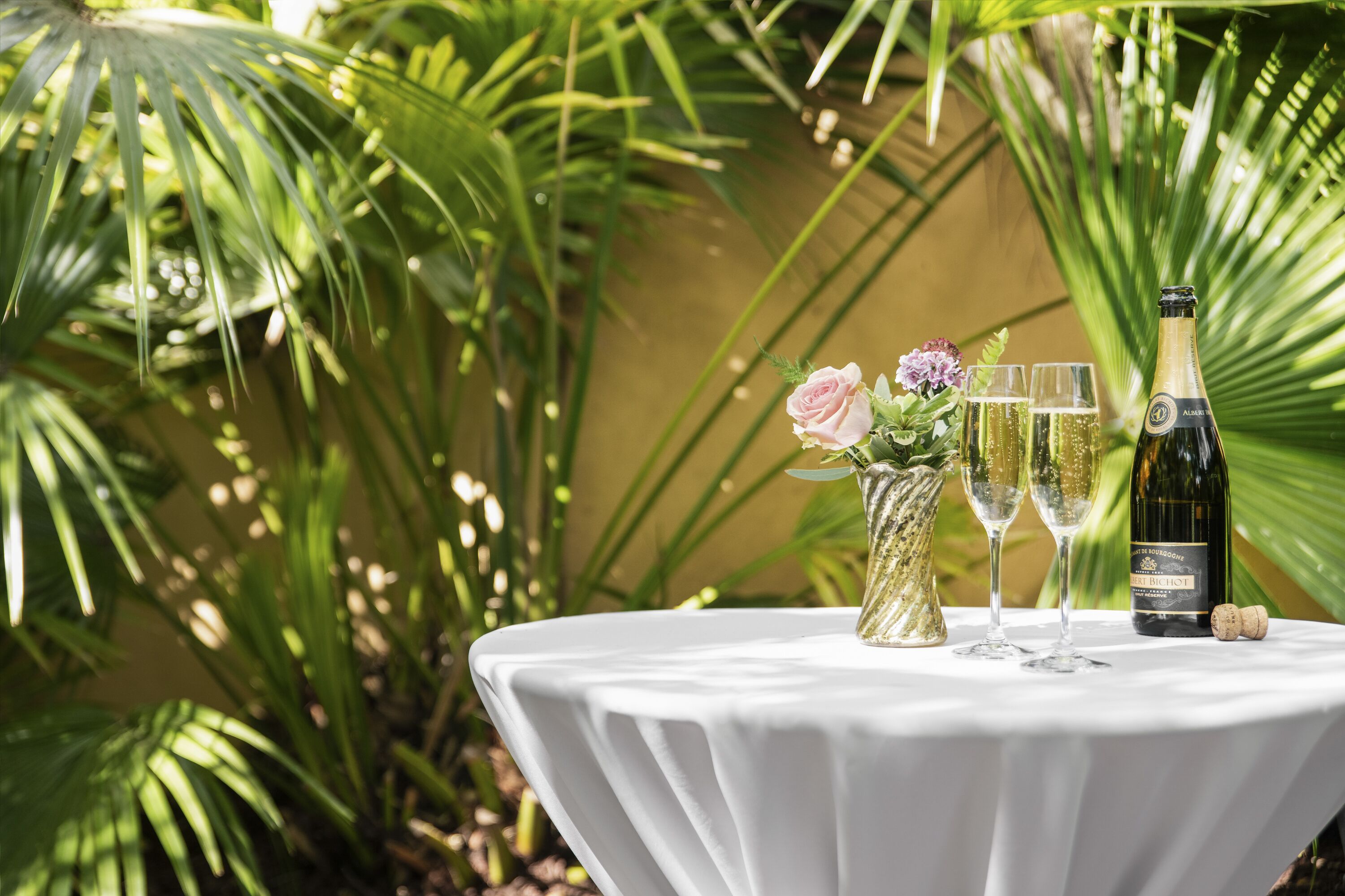 Photo - The Jasmine House