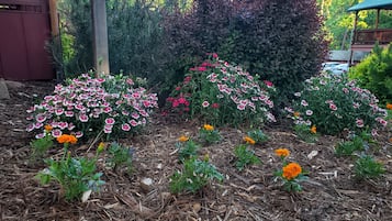 Jardin