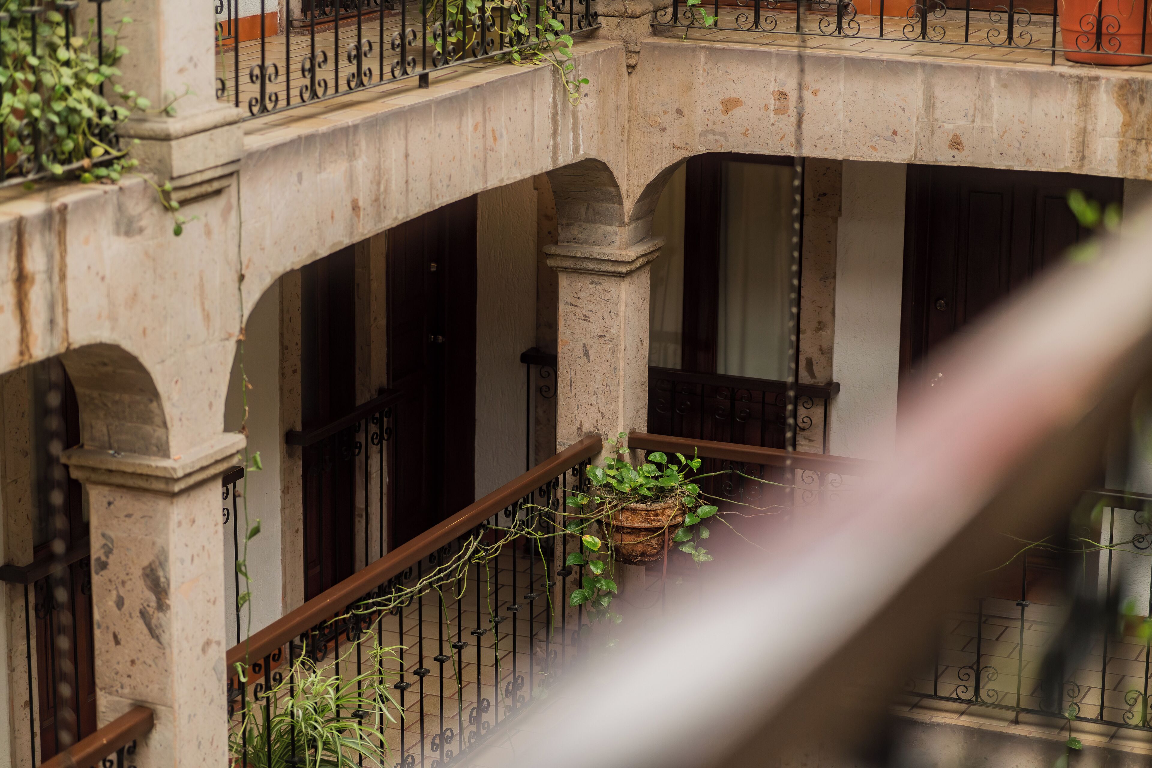 Foto - Hotel Don Quijote Plaza - Guadalajara Centro Historico