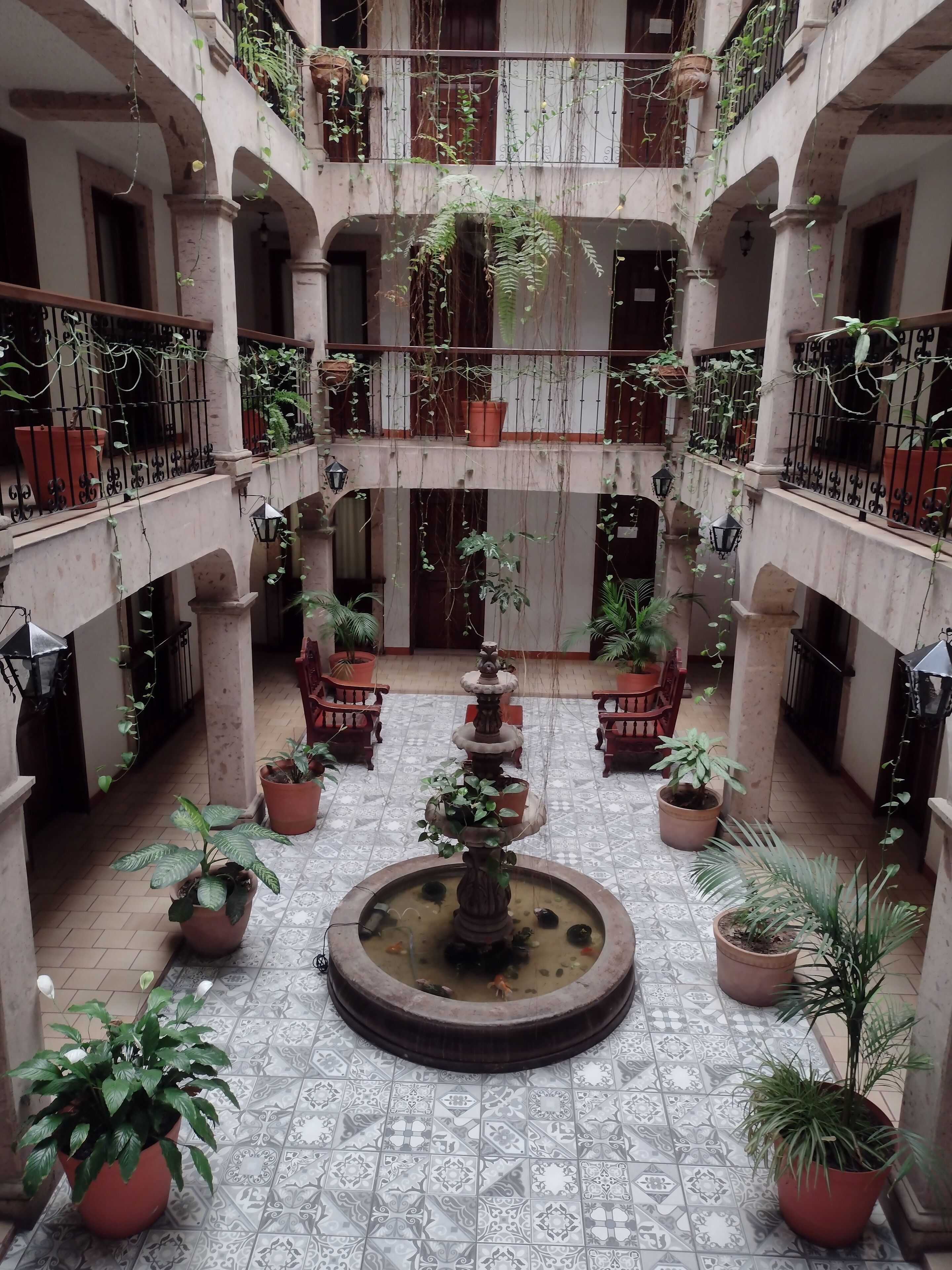 Foto - Hotel Don Quijote Plaza - Guadalajara Centro Historico