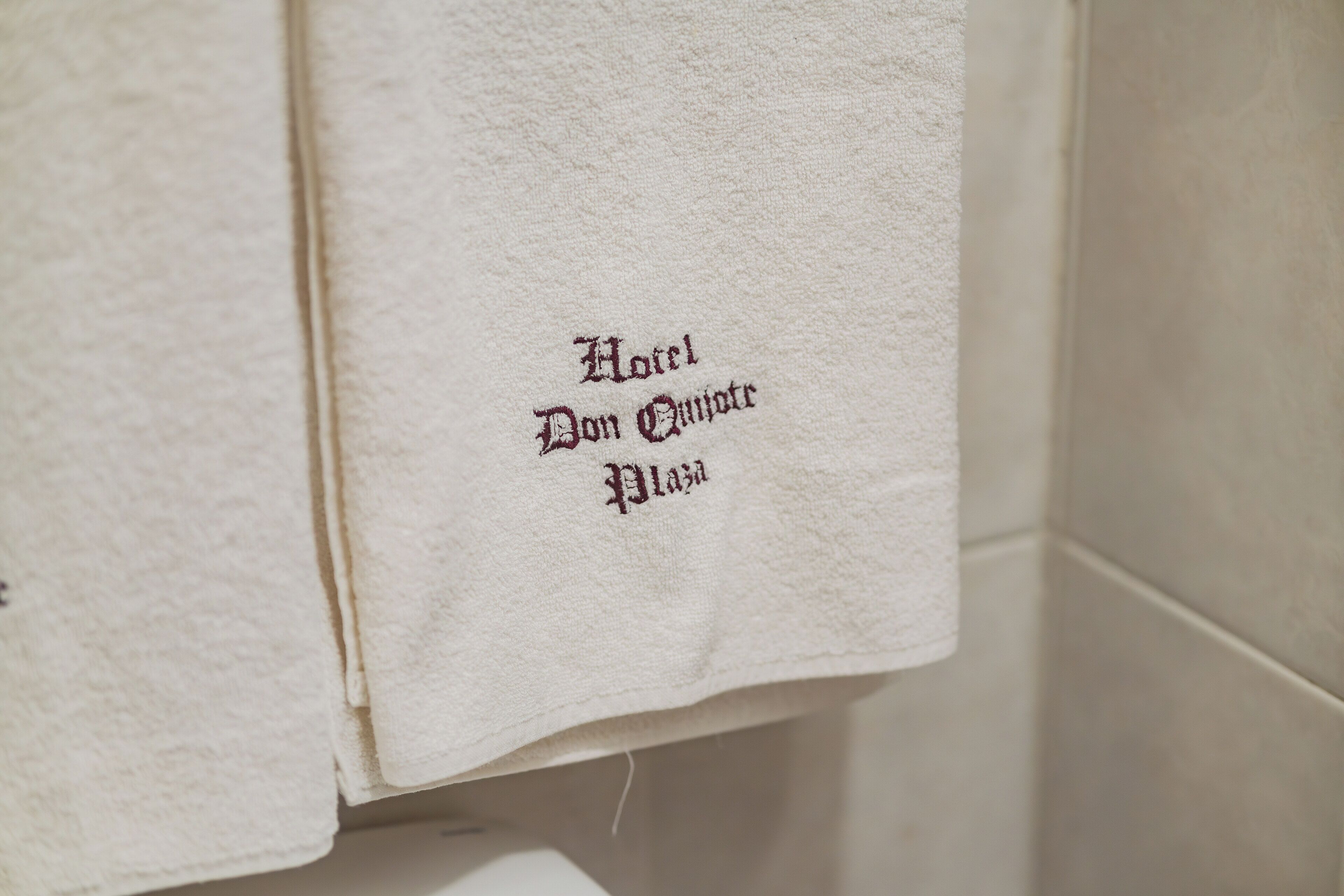 Foto - Hotel Don Quijote Plaza - Guadalajara Centro Historico