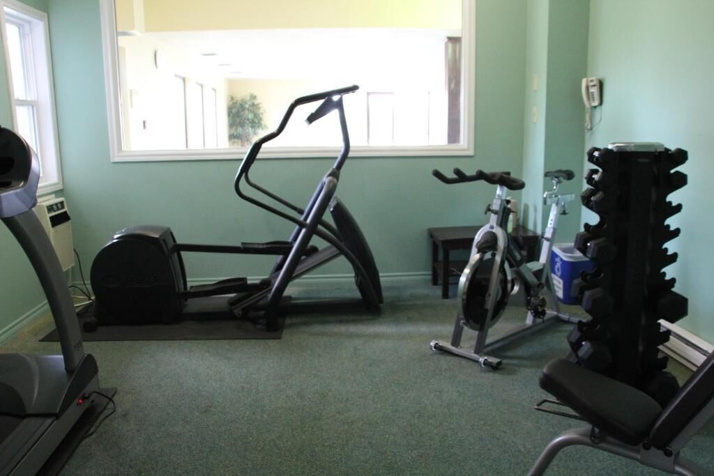Un gimnasio con equipamiento cardiovascular, máquinas de pesas y un ventanal.