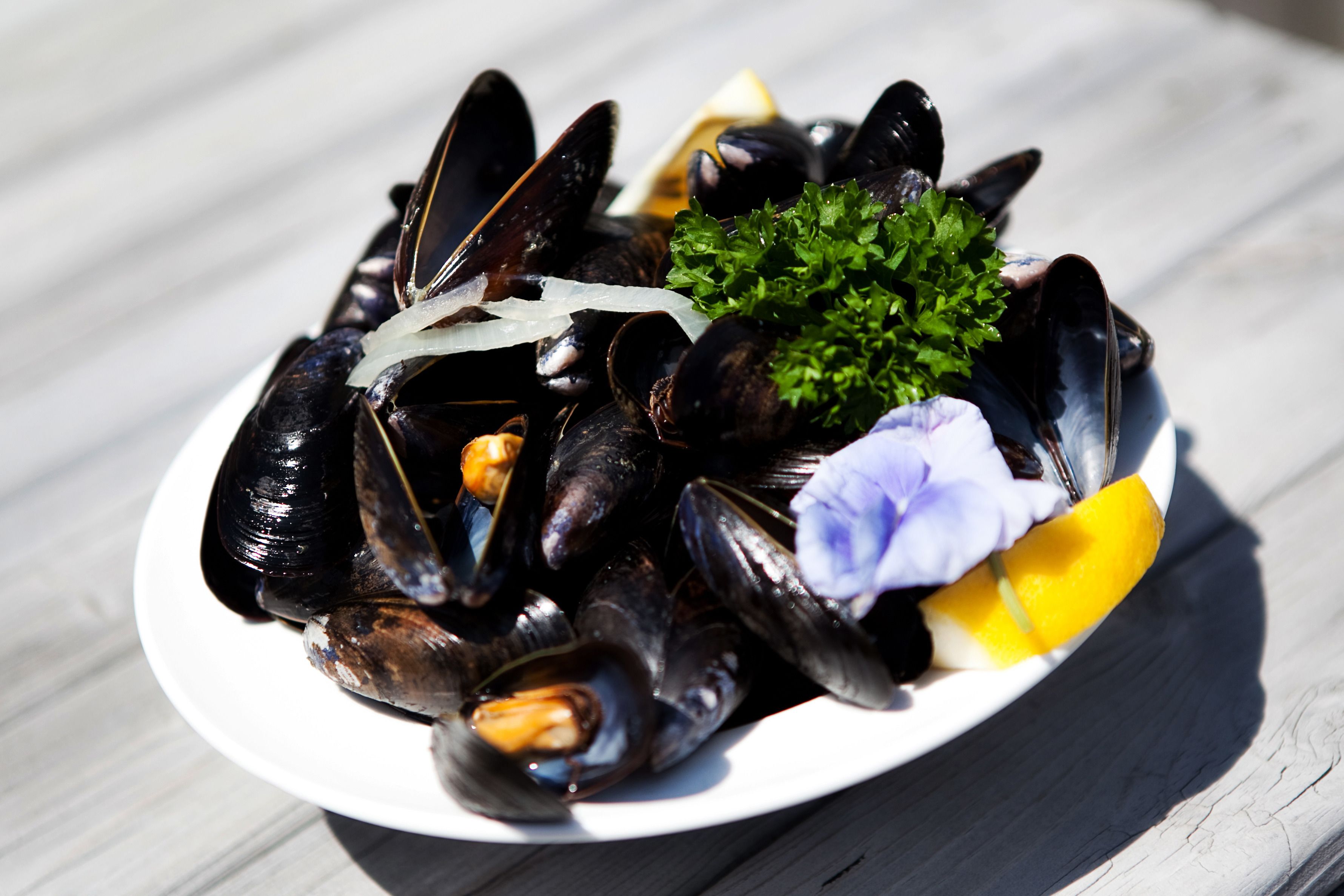 A plate of mussels with parsley and lemon slices.