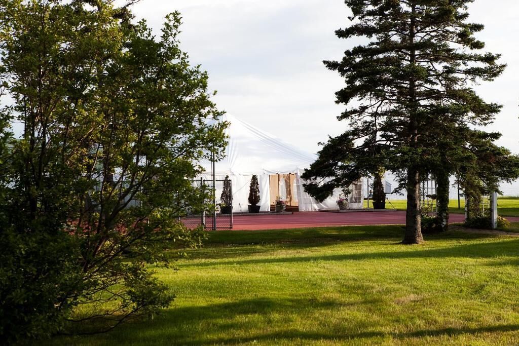 A grassy area with a white tent and a tall tree.