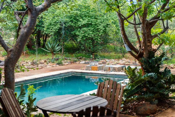 Outdoor pool, open 6:00 AM to 6:00 PM, pool umbrellas, pool loungers