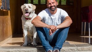 Una persona sentada en escalones de piedra con un perro blanco grande a su lado.
