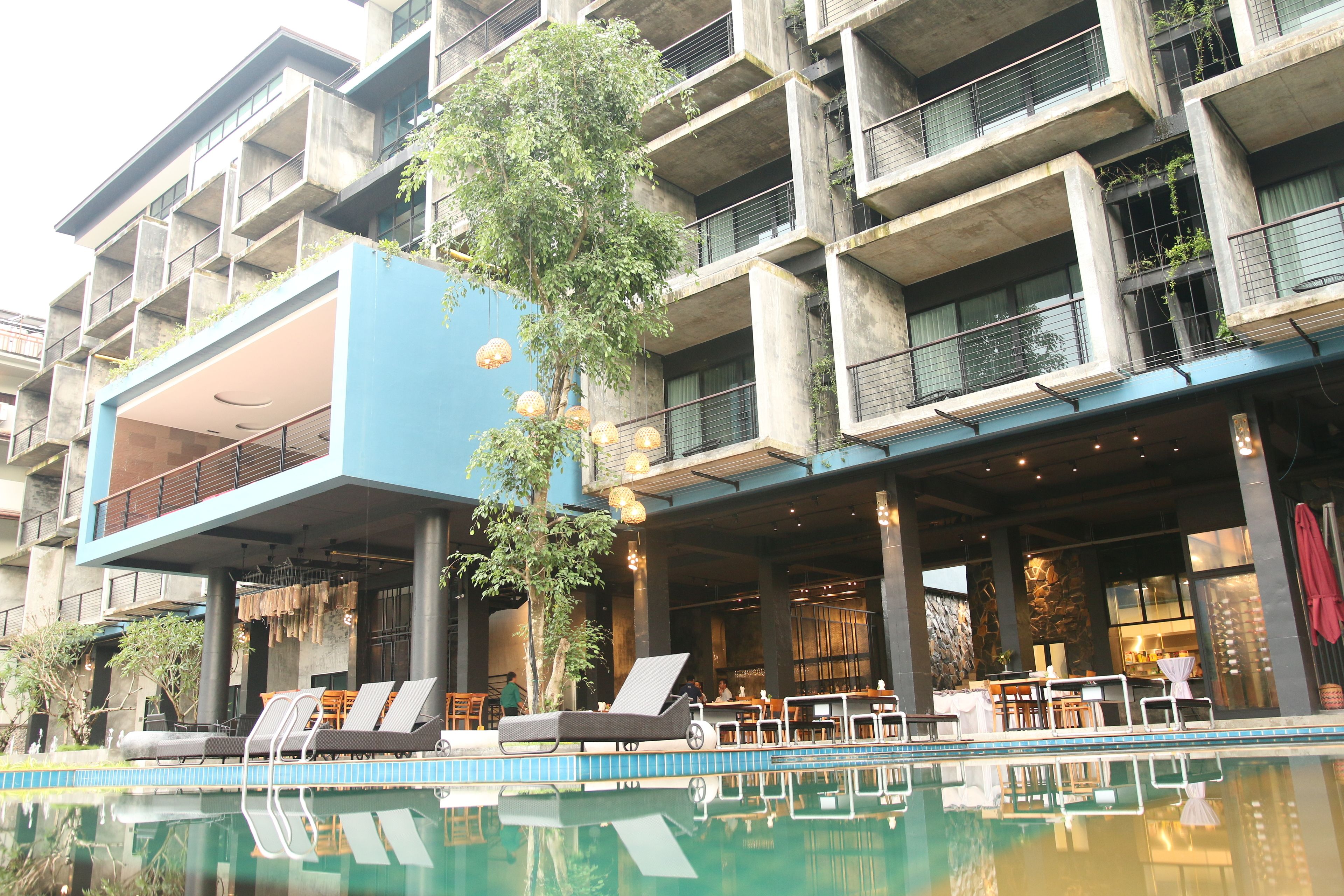 Outdoor pool, pool loungers