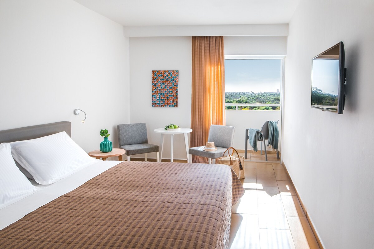 A hotel room with a bed, a desk, a chair, a TV, and a balcony with a view.