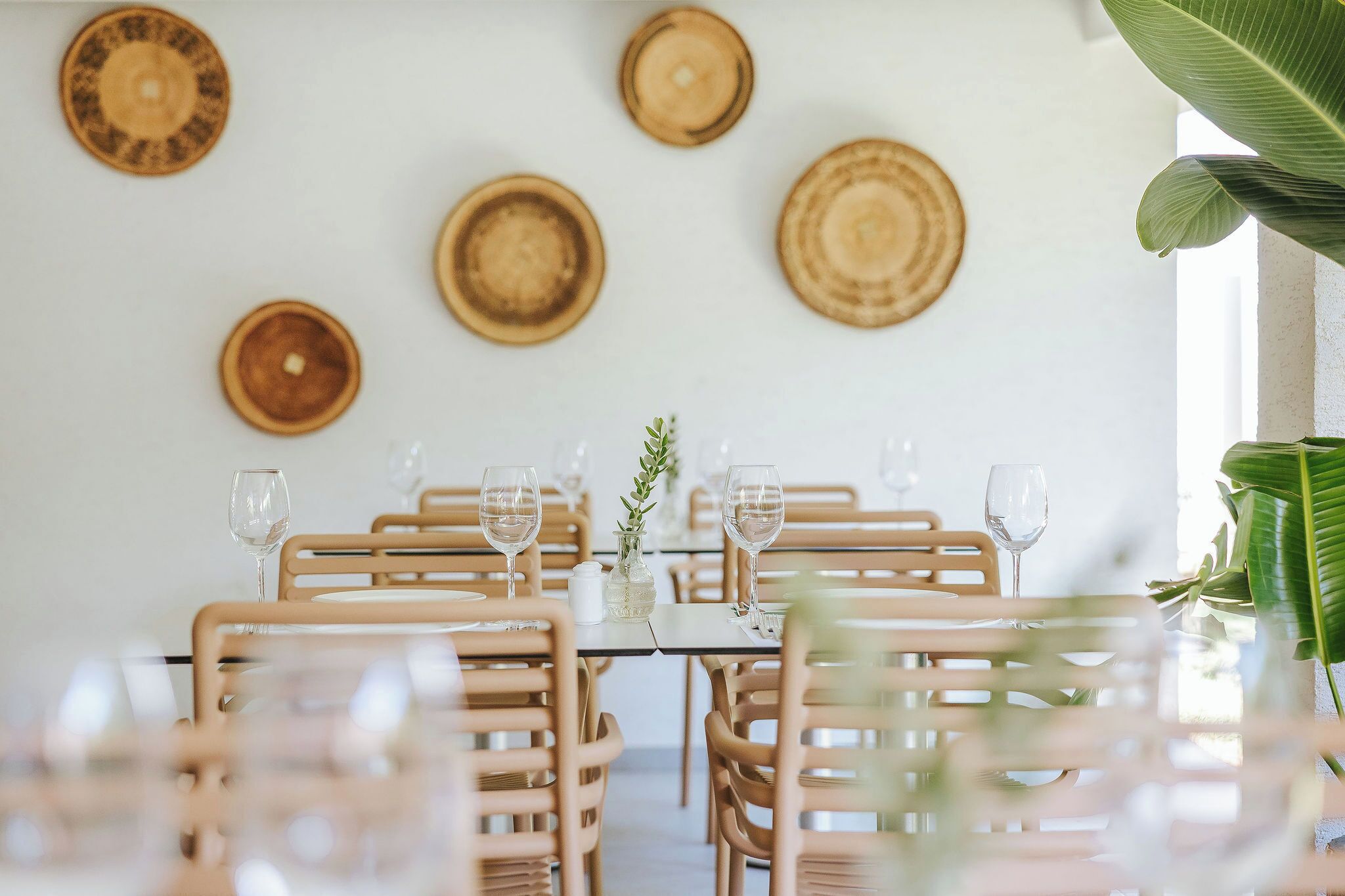 Foto - Nissi Park Hotel