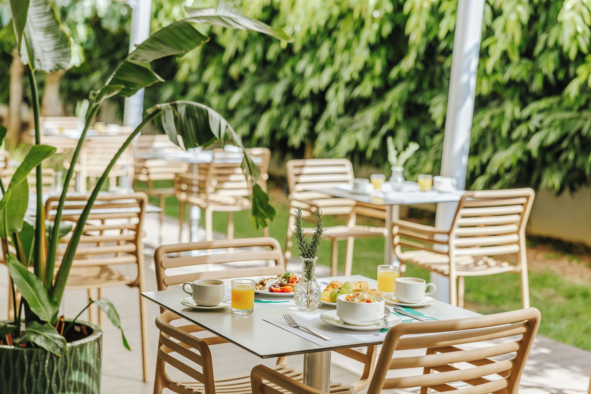 Foto - Nissi Park Hotel