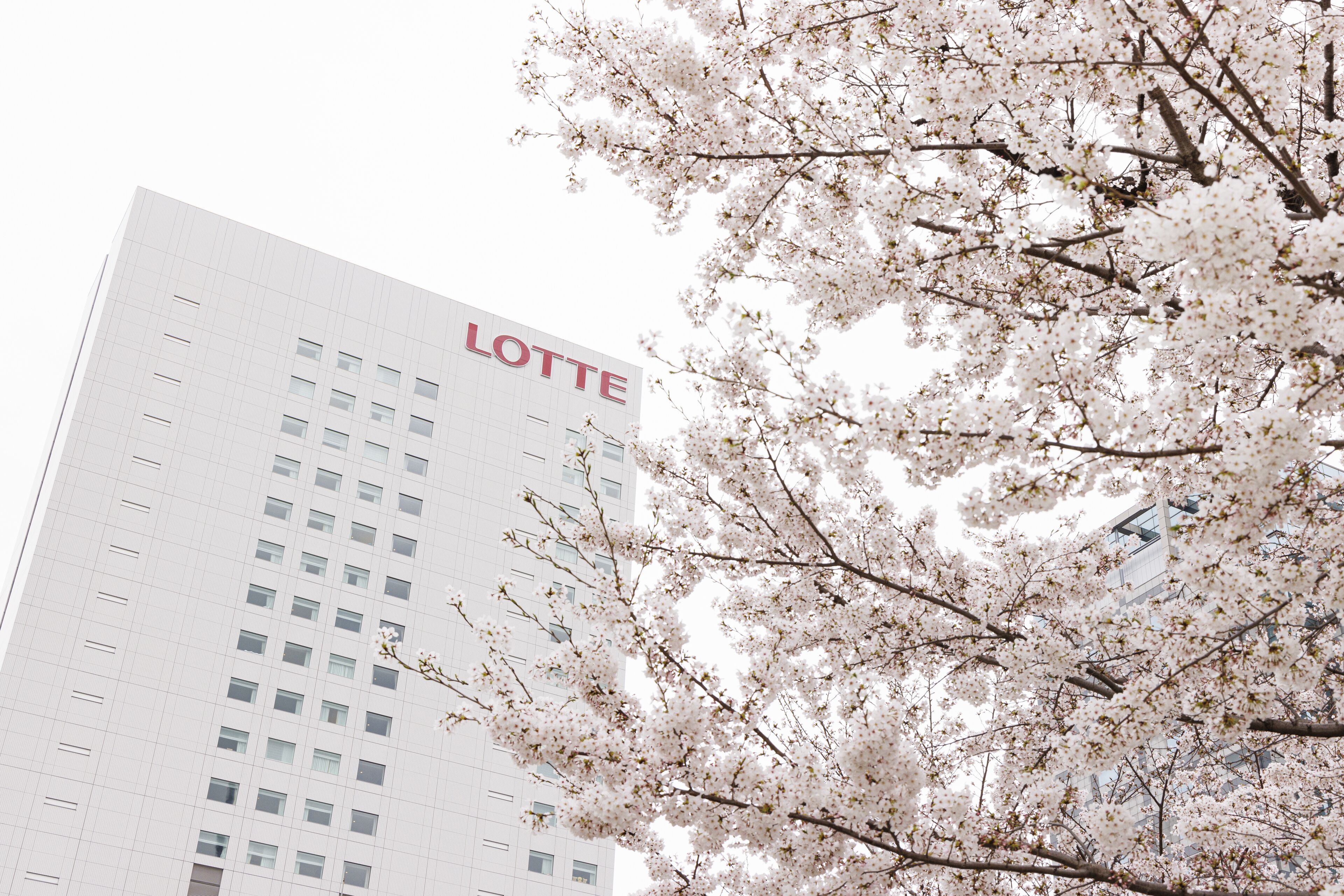 A high-rise building with the name "LOTTE" prominently displayed on its facade.