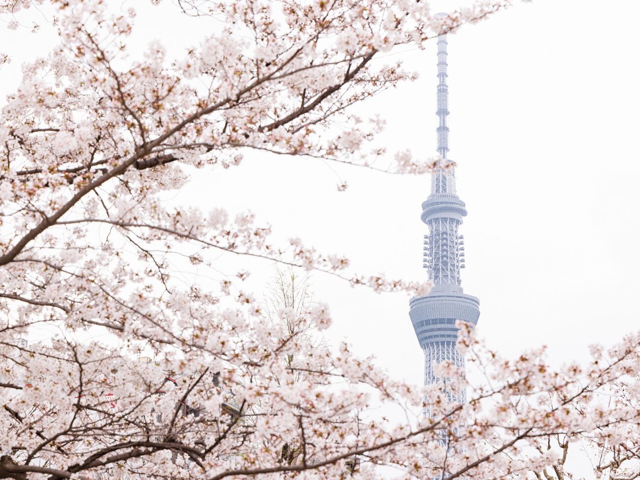 Foto - Lotte City Hotel Kinshicho