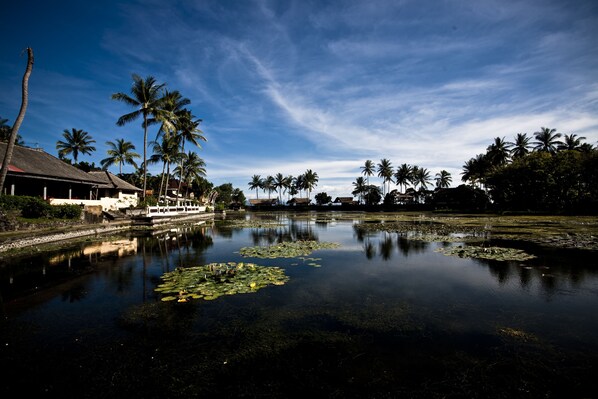 A calm river with a boat docked on the left, surrounded by palm trees and a building with a red roof.