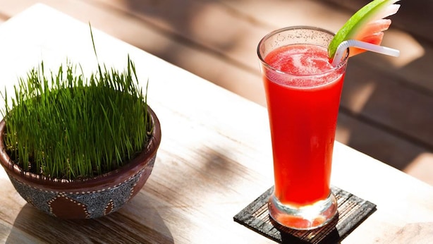 Ein Glas roter Drink mit einer Garnitur auf einem Untersetzer, platziert auf einem Holztisch neben einer dekorativen Schale mit grünem Gras.