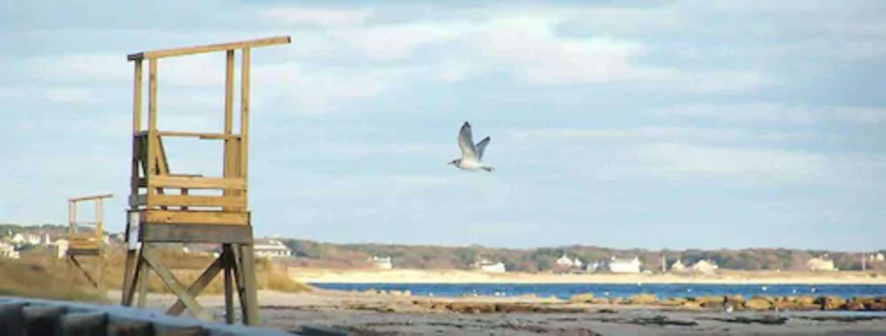 Una torre de salvavidas en la playa con una gaviota volando en el cielo.