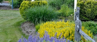 Handkerchief Shoals Inn