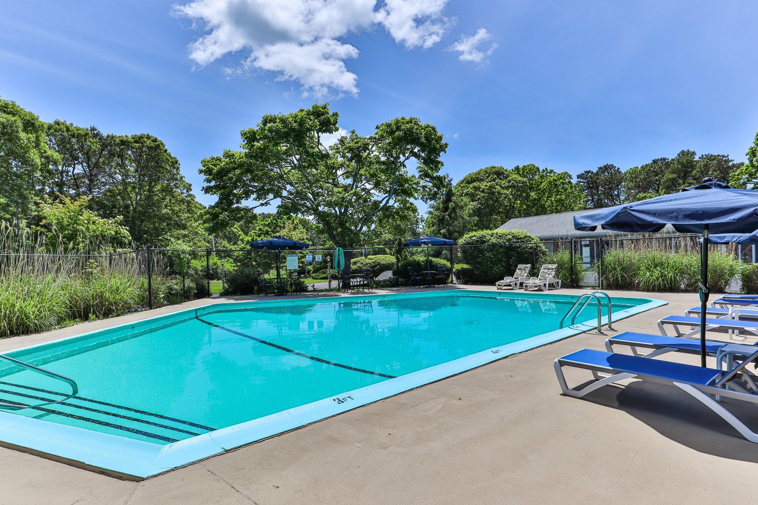 Une piscine rectangulaire à bordure bleue, entourée de chaises longues et de parasols, avec des arbres et un bâtiment en arrière-plan.
