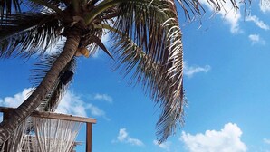 A beach resort with wooden lounge chairs, a pool, and a palm tree. - Amansala (Tulum)