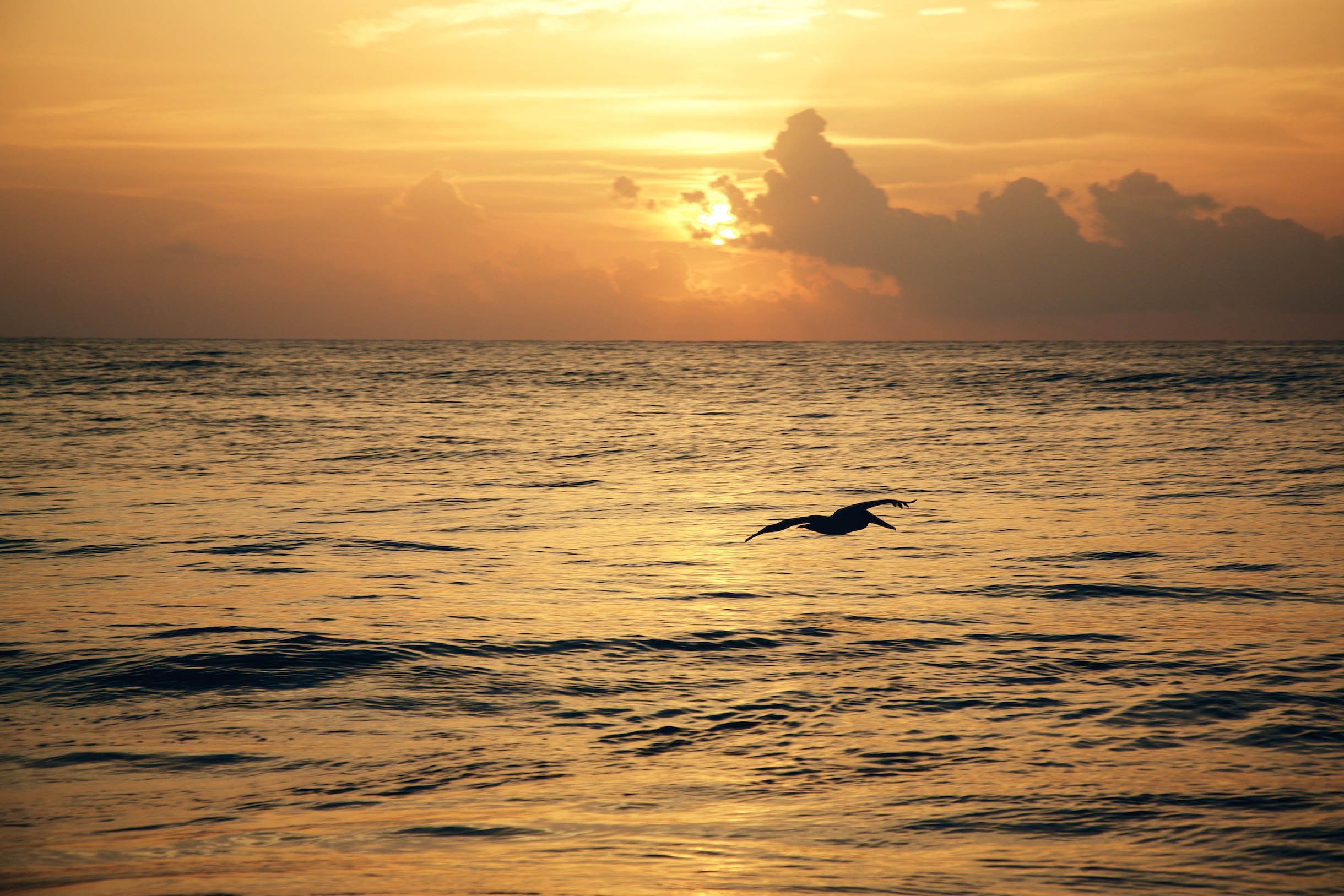 Photo - Punta Piedra Beach Posada