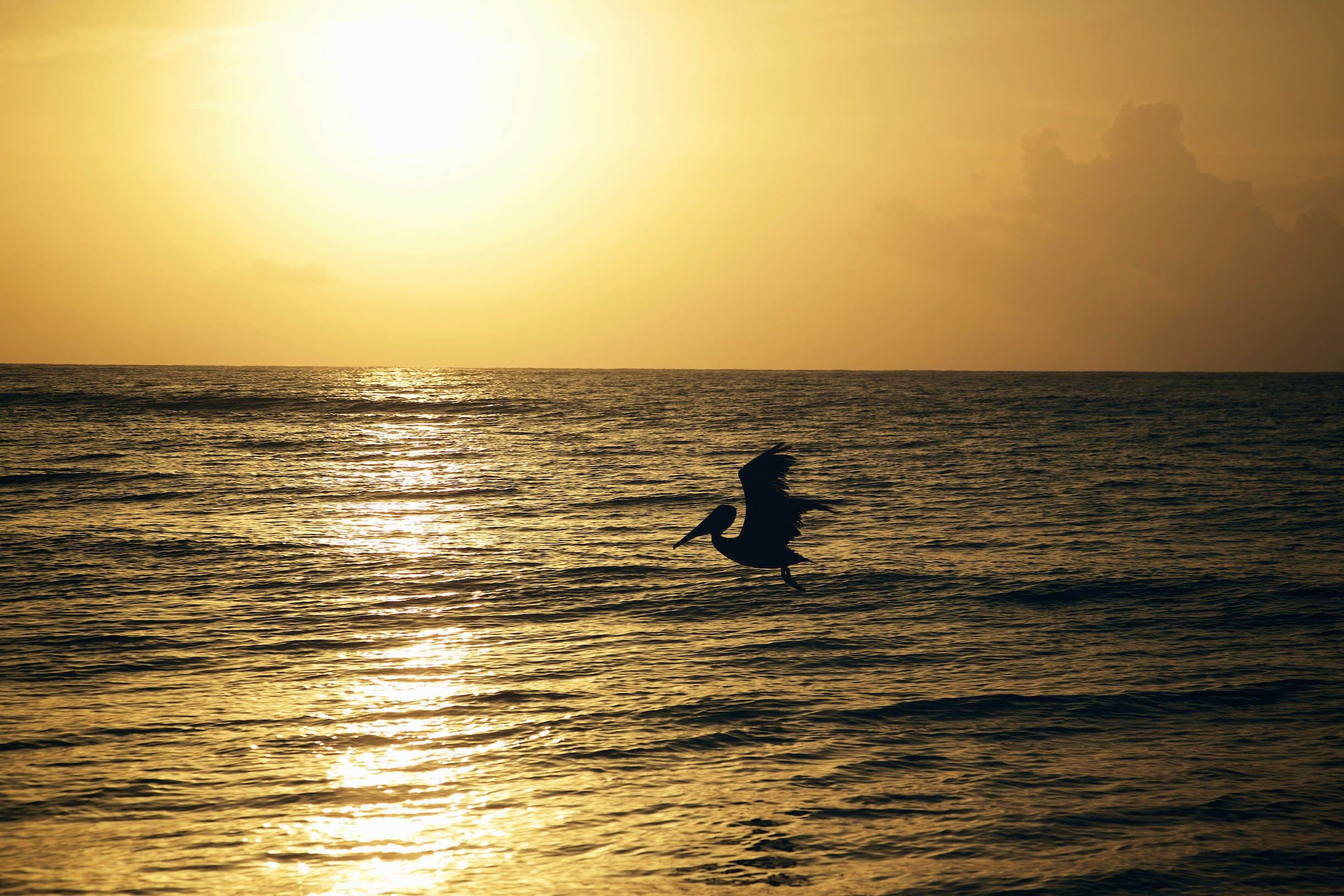 Foto - Punta Piedra Beach Posada