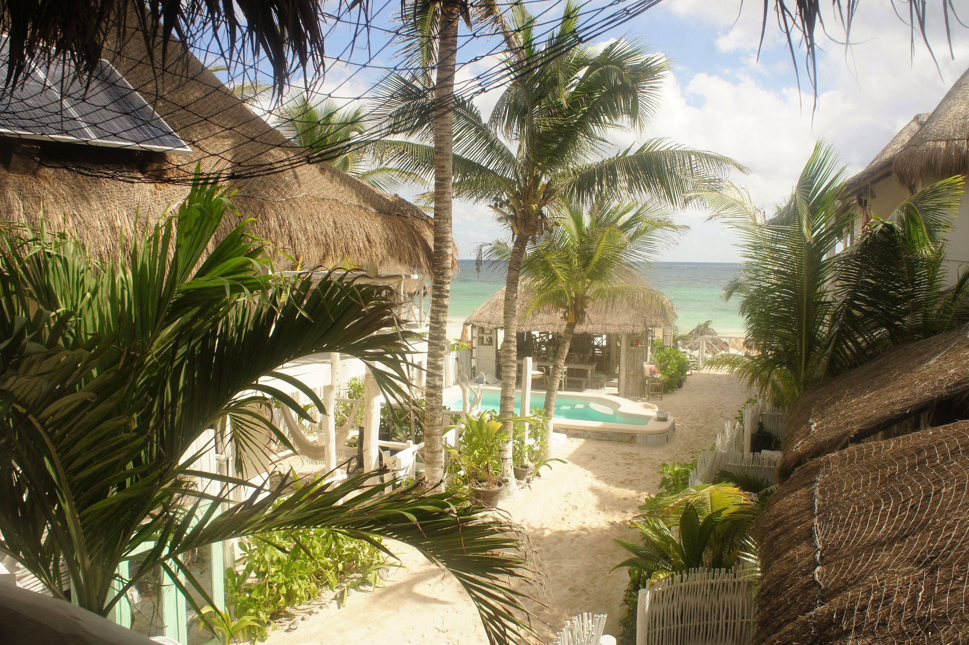 Royal Room, Terrace (2 King Beds) | View from room