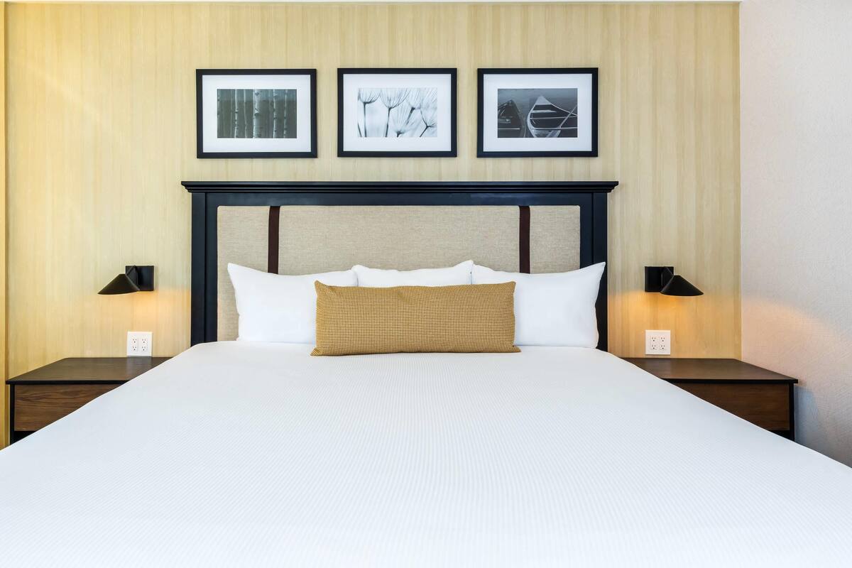 Chambre Standard, 1 trÚs grand lit, non-fumeur | Literie de qualité, couette en duvet, lit avec matelas à plateau-coussin