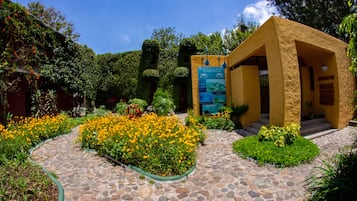 Jardín